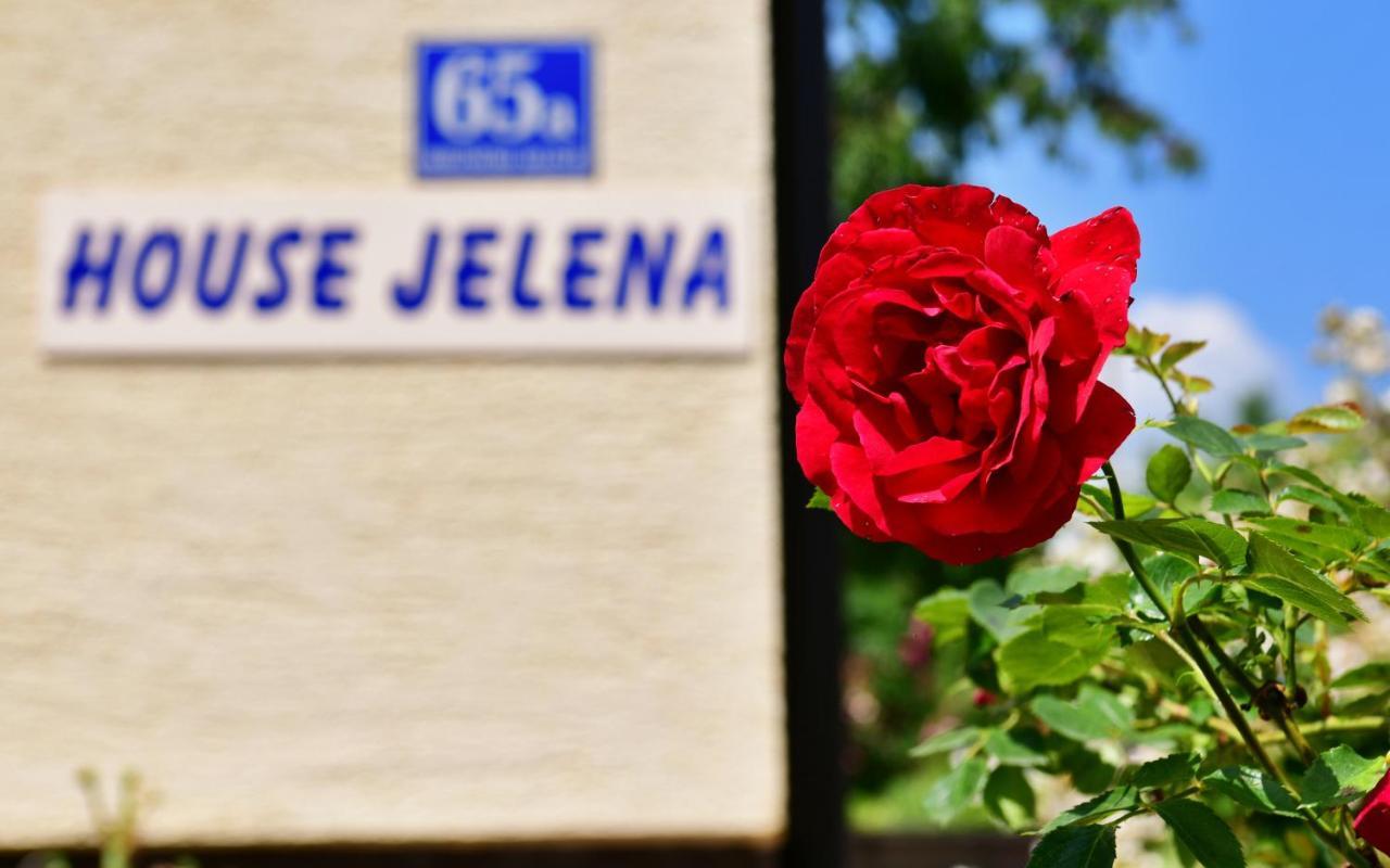 House Jelena Seliste Dreznicko Exterior foto
