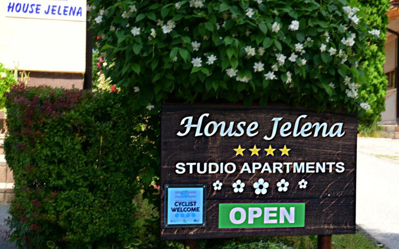 House Jelena Seliste Dreznicko Exterior foto